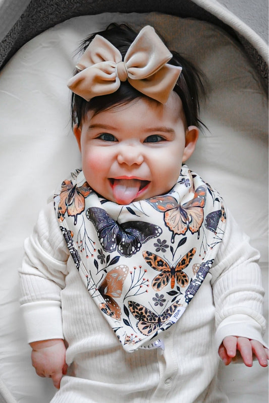 Flutter Bib: Core Collection