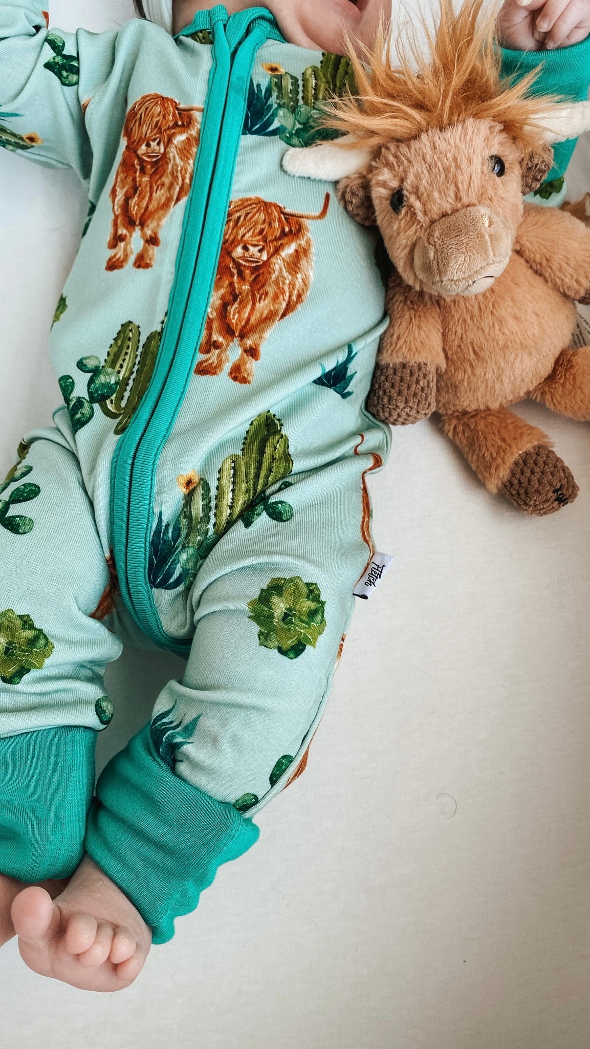Teal Boho Desert Snoozer **