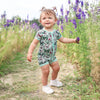 Butterfly Dreams Shorties