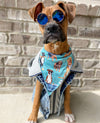 Scruffy To Fluffy Dog Bandana