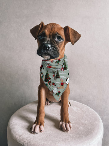 Merry Mutts Dog Bandana