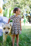 Pretty Wild Short Sleeve Twirl Dress
