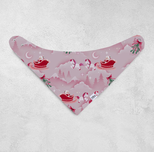 Sparkle and Sleigh Baby Bib
